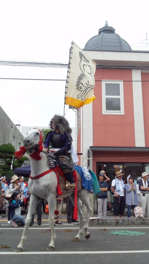 Horses have never really liked me ... this one has just caught on.