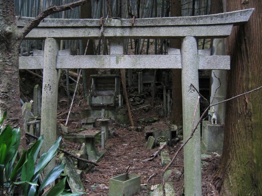 Look here for that which you do not seek...