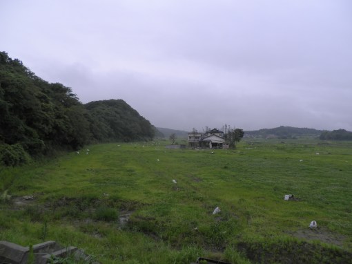 The view inland from the base of the knoll