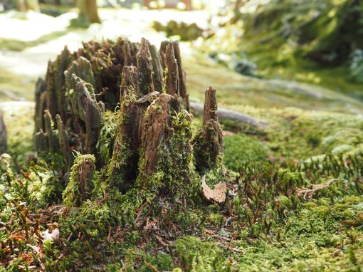 There's unobtainium in them there hills!